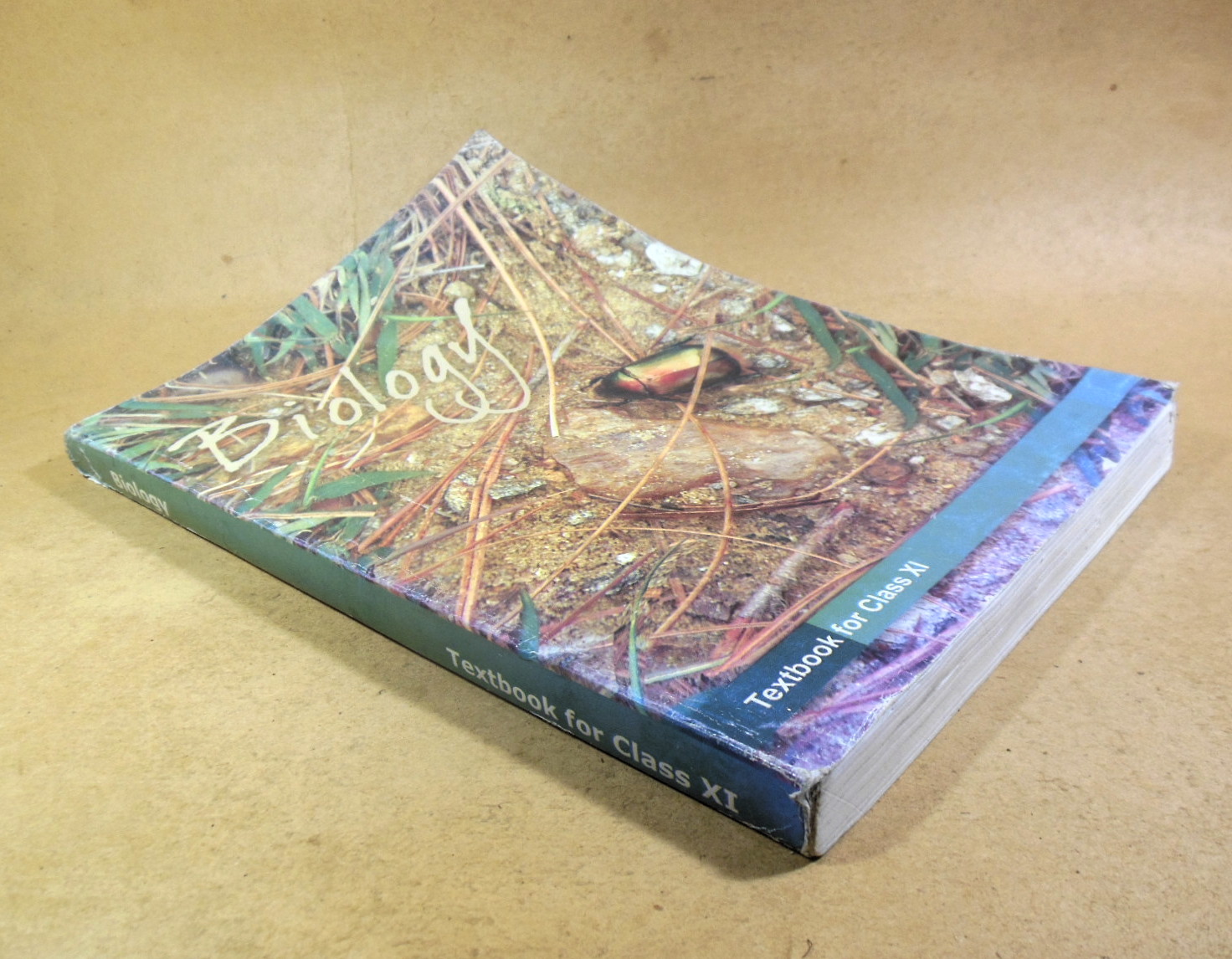 Biology: Textbook for Class XI (NCERT) — изображение 5