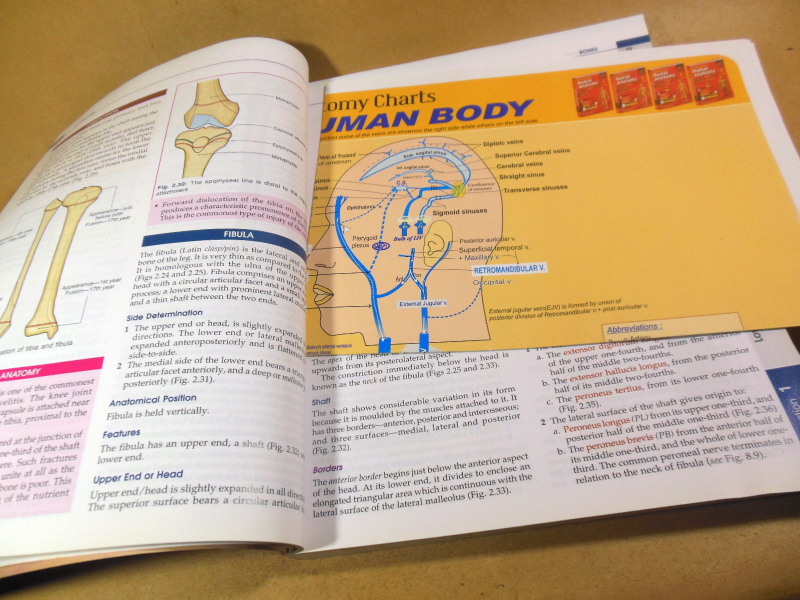 BD Chaurasia's Human Anatomy. Vol. 2: Lower Limb, Abdomen and Pelvis (8th Edition) — изображение 4